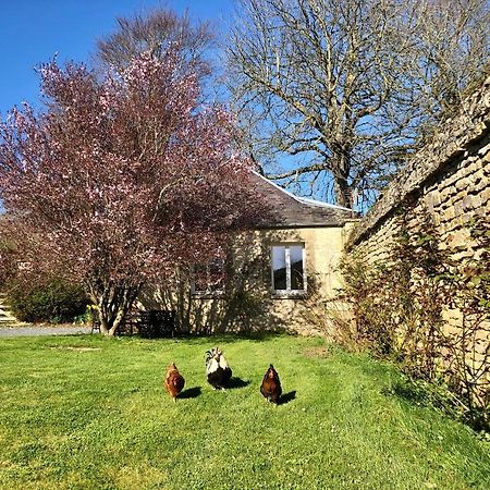 Les Gites De La Mare Saint-Manvieu-Norrey Extérieur photo
